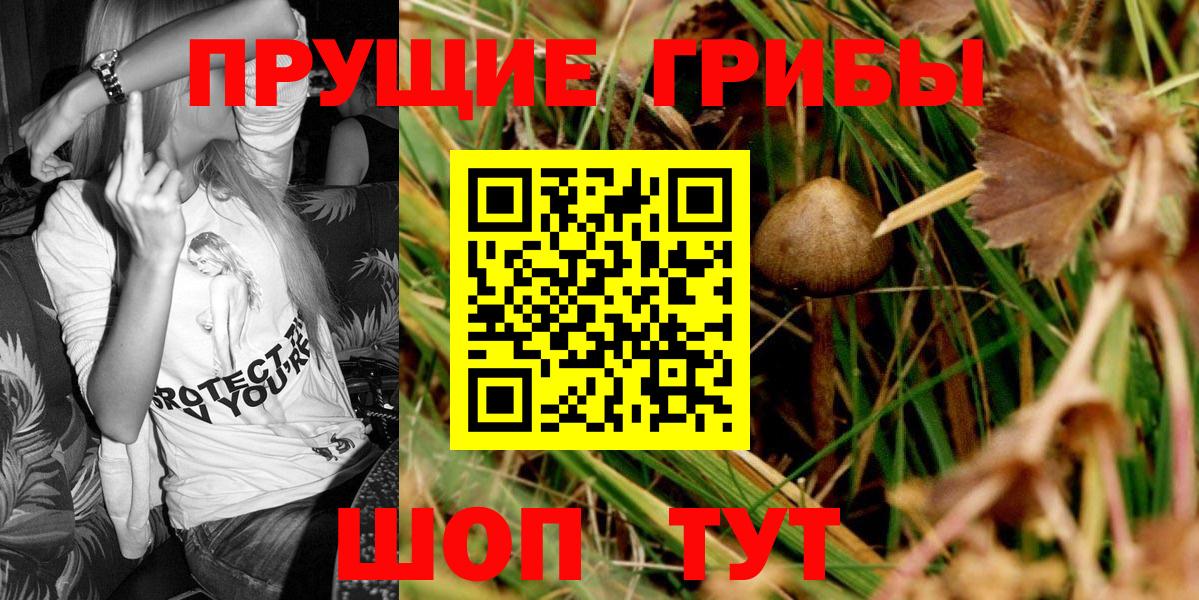 Галлюциногенные грибы MAGIC MUSHROOMS Печора